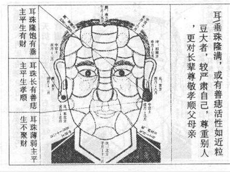 耳朵軟面相|面相耳朵图解【最详细版】 – 杨易德全集官网